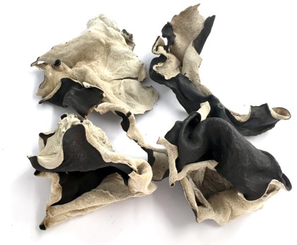 Dried white back black fungus.jpg